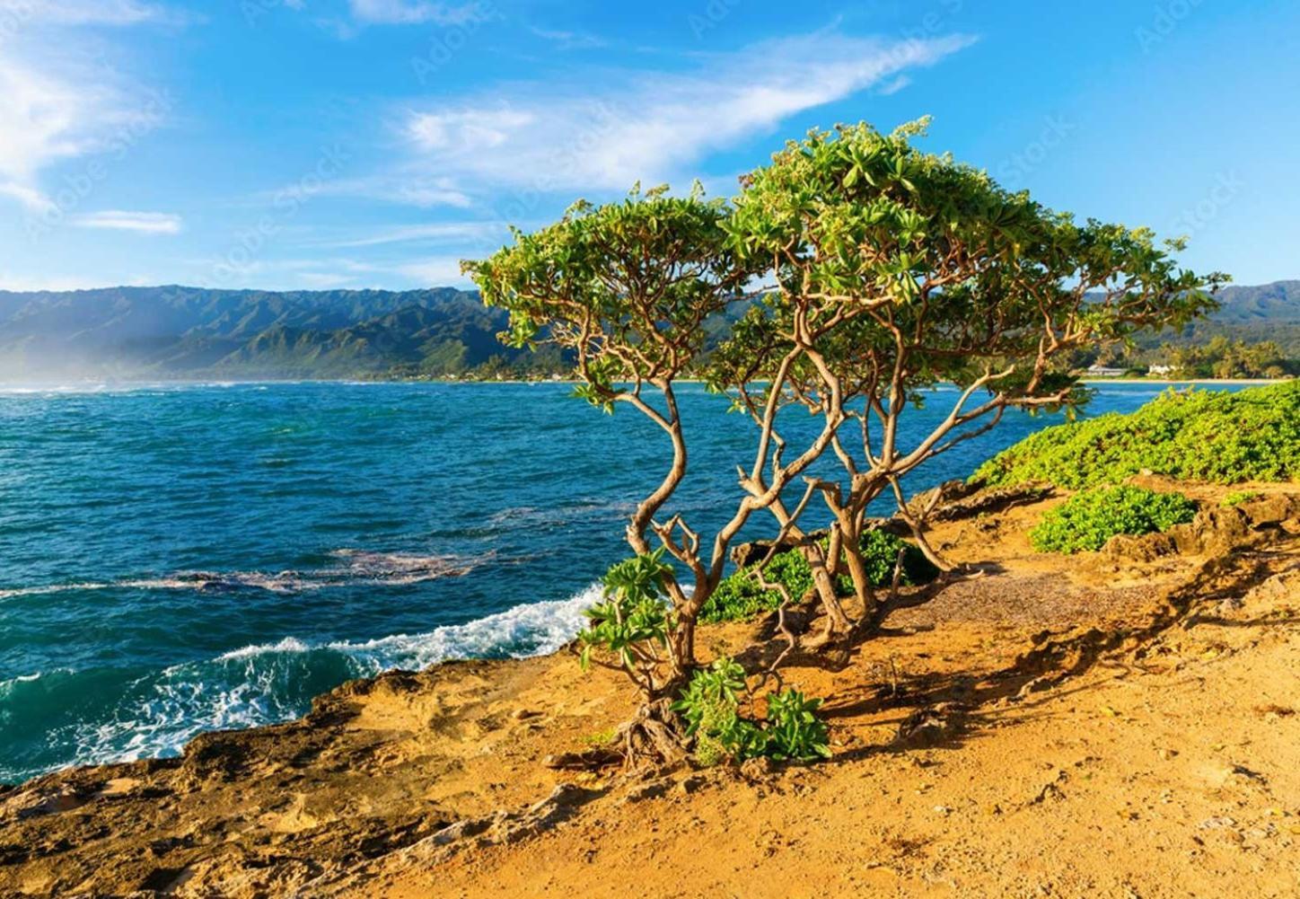 Naupaka Breeze Ocean View Ac 30 Day Stay Specials! Laie ภายนอก รูปภาพ